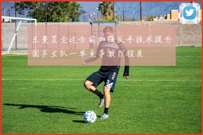 王曼昱全运会前加强反手技术提升国乒女队一单竞争激烈程度